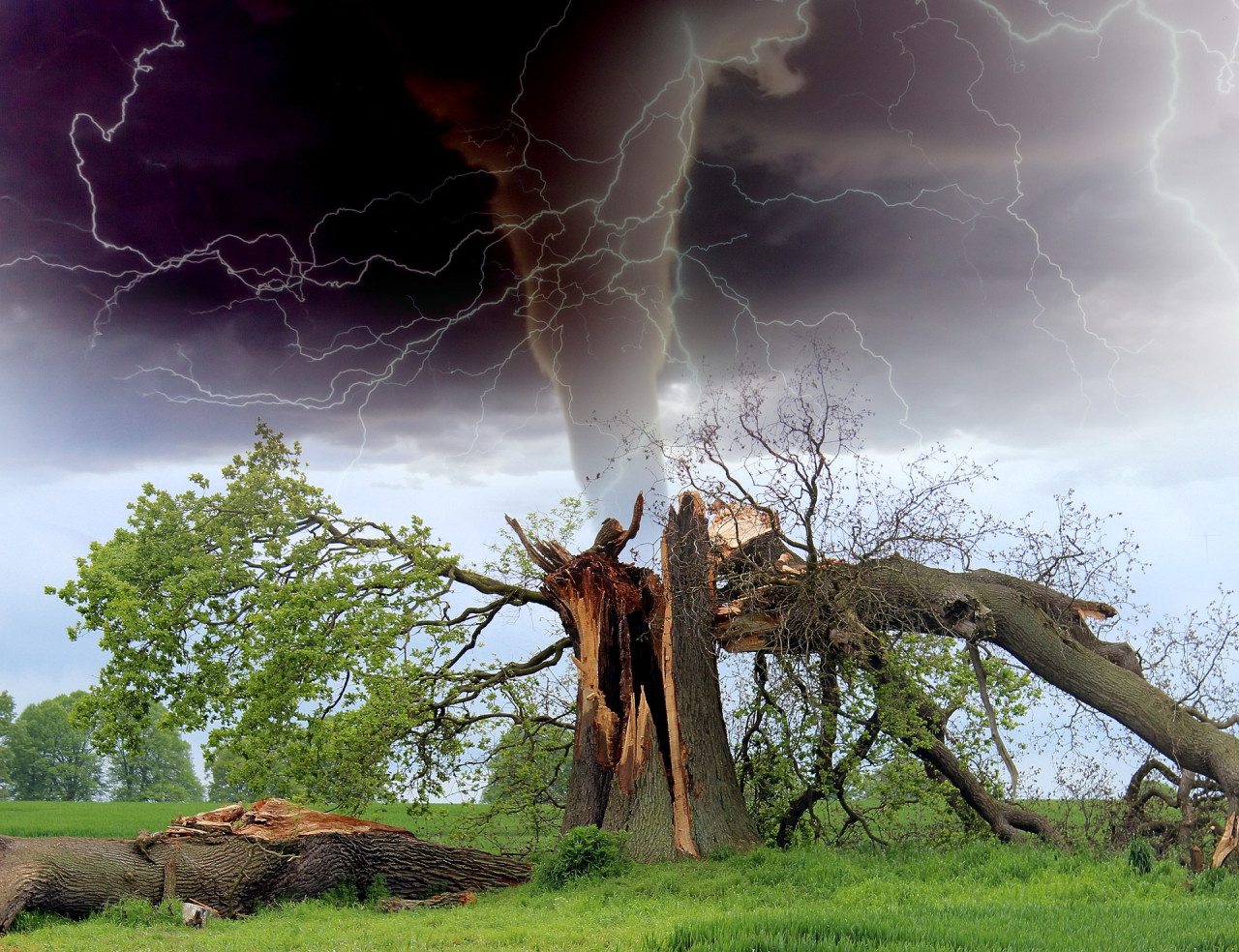 tornado