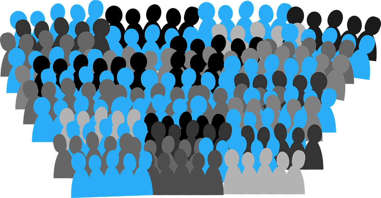 Participació 