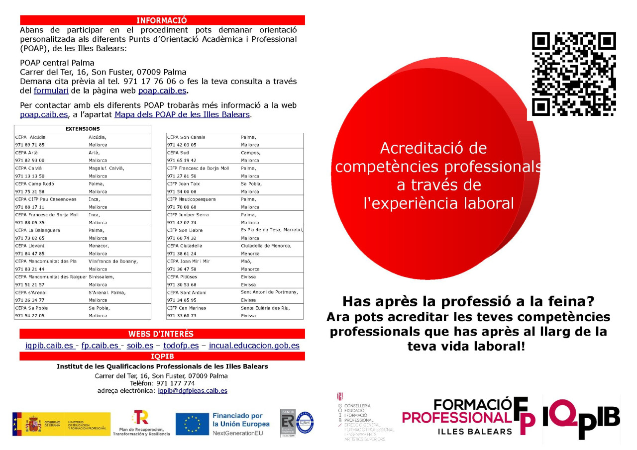 competències professionals