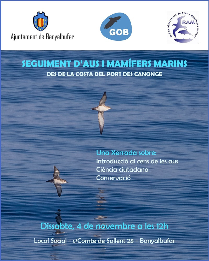 SEGUIMENT D’AUS I MAMÍFERS MARINS DES DE LA COSTA DEL PORT DES CANONGE