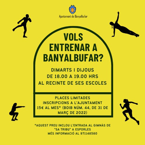 entrenar 