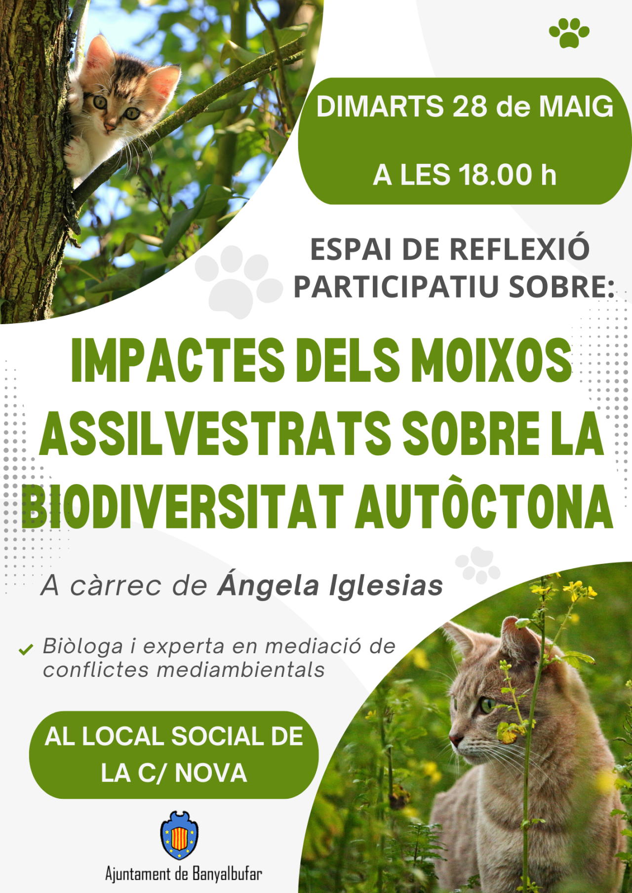 Xerrada informativa "L'impacte de Felis Silvestris sobre la biodiversitat autòctona"