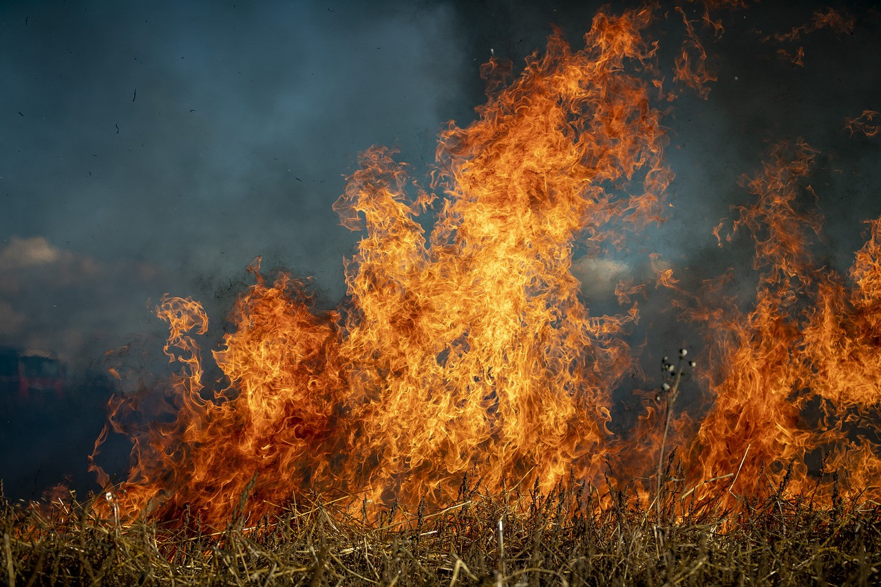 Xerrada "Prevenció i disminució de risc front als incendis forestals"