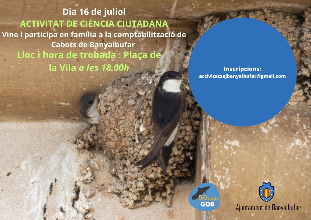 RECOMPTE DE NIUS DE CABOTS