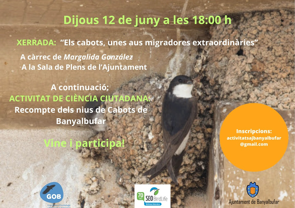 Xerrada “Els cabots, unes aus migradores extraordinàries”
