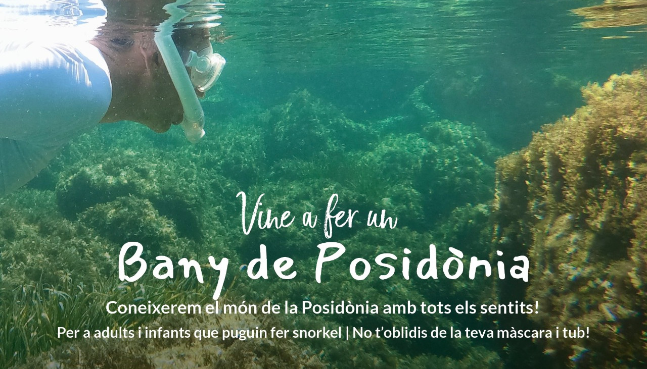 Vine a fer un "Bany de Posidònia"