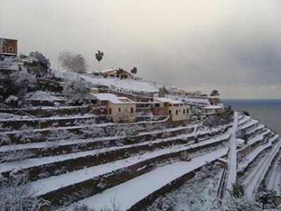 Galeria d'imatges