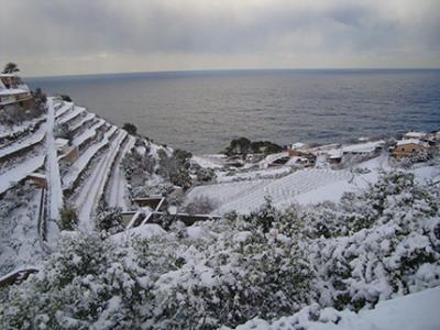 Galeria d'imatges