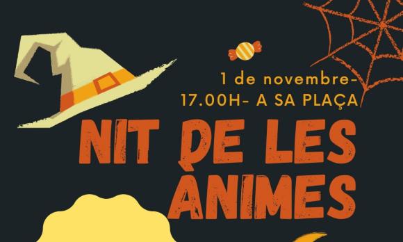 ànimes 